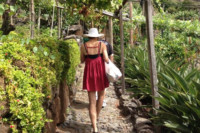 Incredible tour to a 'Faja' with a story - Faja dos Padres: what you do during the 2 hours