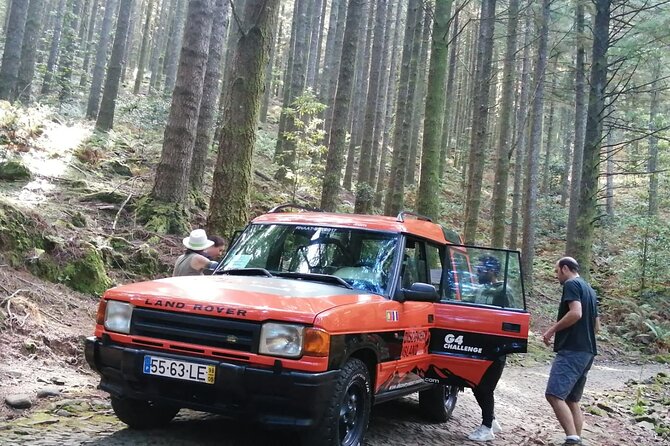 Jeep Safari in Pico Areeiro Santana Faial Full Day Tour - Ribeiro Frio and Balcões viewpoint: short walk, big valley feel