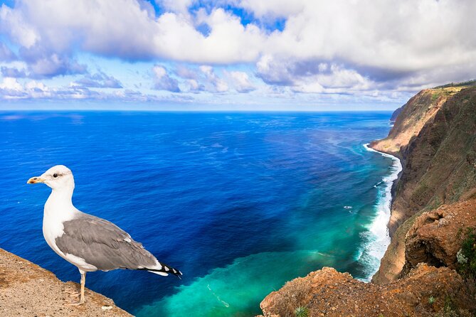 Jeep Safari in Southwest, Calheta and Ponta do Sol Full Day Tour - Calheta and Maloeira Viewpoint: your photo and lunch anchor