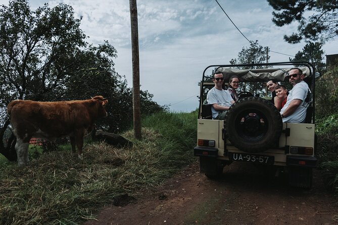 Jeep Tour To ,(Skywalk, Seixal, Porto Moniz, Fanal) - Porto Moniz: Lunch Break, Volcanic Pools, and a Little Town Time