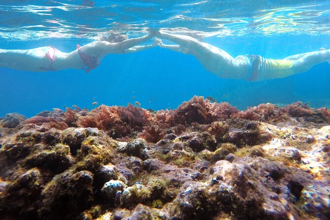 Kayak and Snorkeling Tour in Underwater Nature Reserve Garajau - How the 2-Hour Timing Really Feels