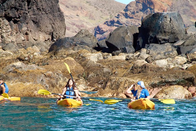 Kayak Experience @ Ponta de São Lourenço - Swim and snorkeling moments, what to bring so it doesn’t feel rushed