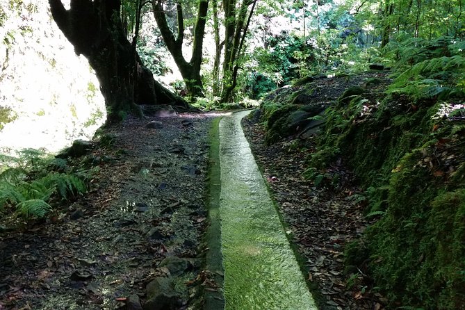 Kings Levada - São Jorge - What You Get From the Kings Levada in São Jorge