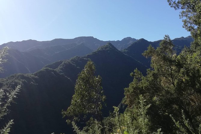 Kings Levada - São Jorge - Meeting the Guide, Getting From Funchal Without the Hassle