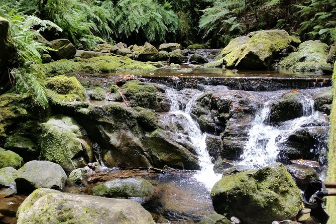 Kings Levada - São Jorge - Picnic Lunch Break: Plan Like You’re Picnicking, Not Purchasing