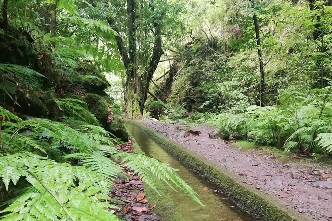 Kings Levada - São Jorge - Transport, Group Size, and the Comfort Factor