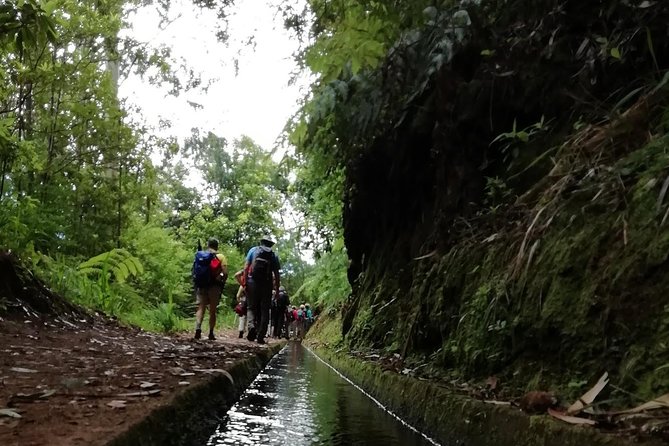 Kings Levada - São Jorge - The Walk Itself: 10 km, Wide Path, and a Pace That Makes Sense