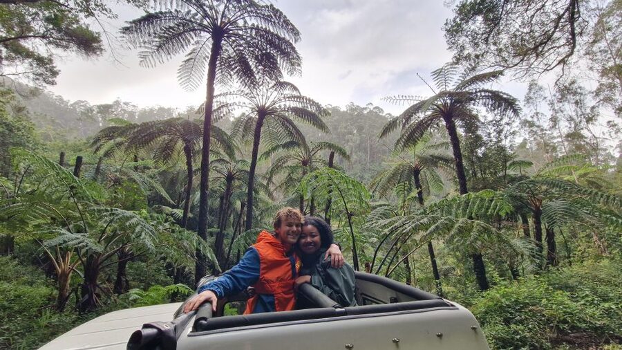 Let-Me-Surprise-You Madeira Full Day Private Tour - Key things that make this tour worth your time