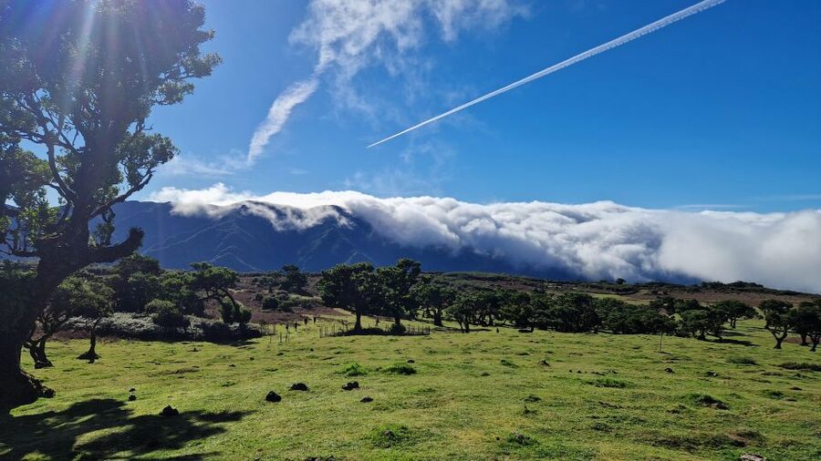 Let-Me-Surprise-You Madeira Full Day Private Tour - Should you book Let-Me-Surprise-You Madeira?