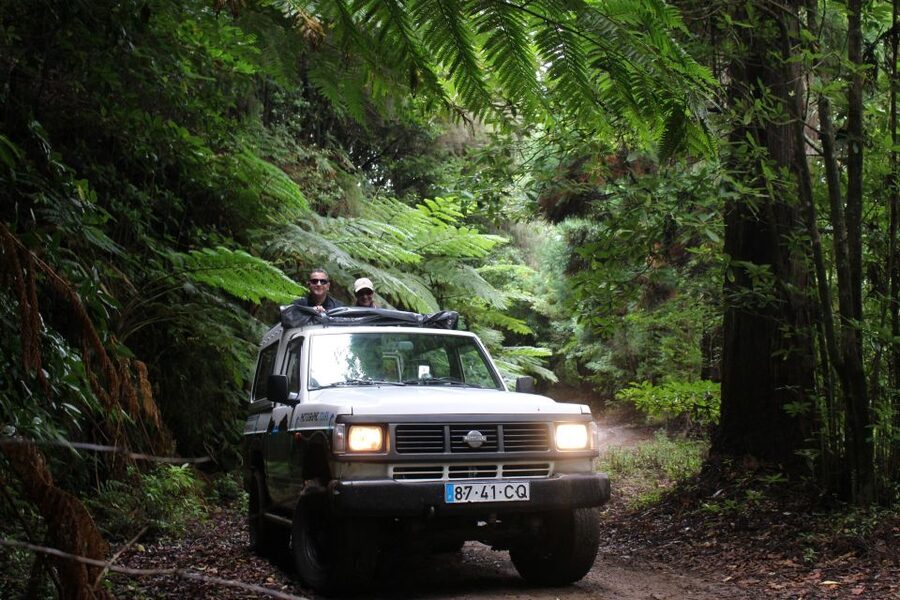 Let-Me-Surprise-You Madeira Full Day Private Tour - A Madeiran day built around real weather, not a rigid route