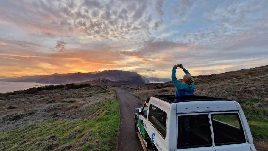 Let-Me-Surprise-You Madeira Full Day Private Tour - Price and value: $294 for up to 3 people, and why that can be fair