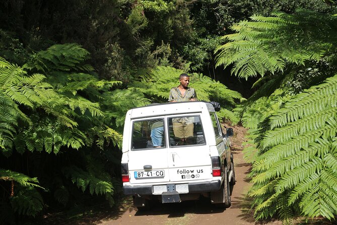 Let-Me-Surprise-You Private Full-Day Tour in All Terrain Vehicle - The day’s big theme: high ridges to coastline, with stops that change every hour