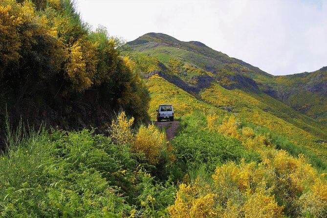 Let-Me-Surprise-You Private Full-Day Tour in All Terrain Vehicle - How poncha, ciders, and Madeira wine fit into the real experience