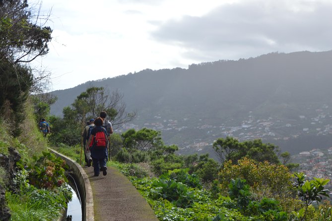 Levada da Referta - Castelejo - Cultivated Terraces and North East Coast Views: What You Learn While You Walk