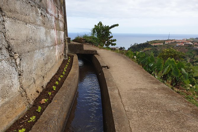 Levada da Referta - Castelejo - Comfort Tips for a Morning Levada Walk Like This