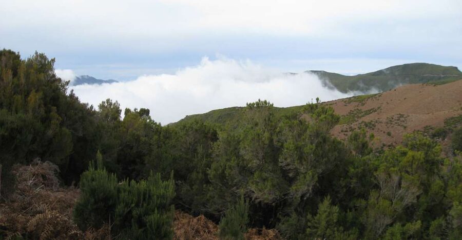 Levada do Alecrim (Madeira Lakes) Full-day walk - Key points to know before you go