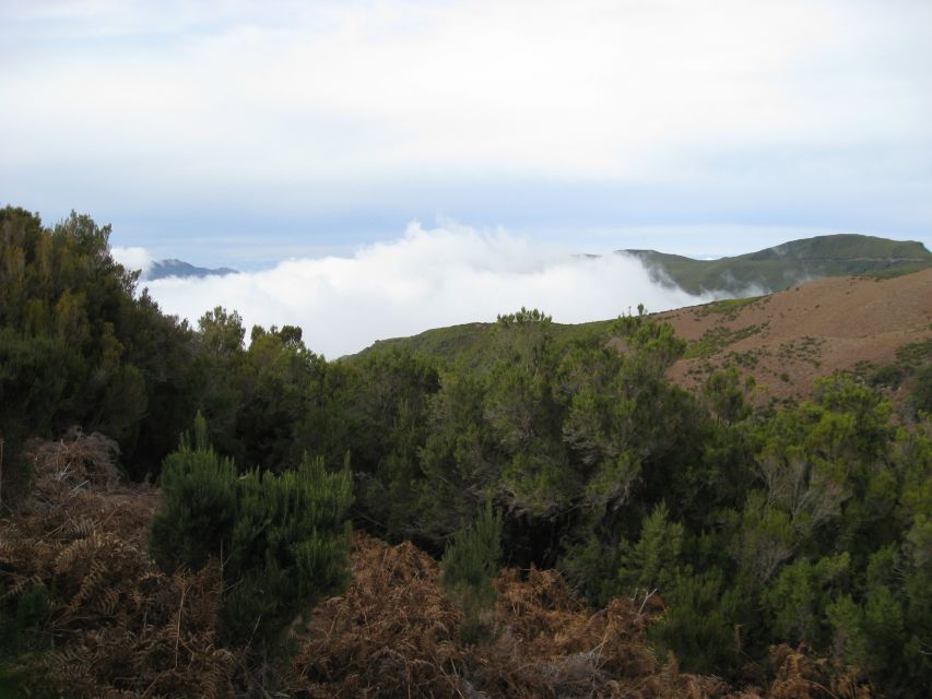 Levada do Alecrim (Madeira Lakes) Full-day walk - Forest trekking and the moments that feel scrambly