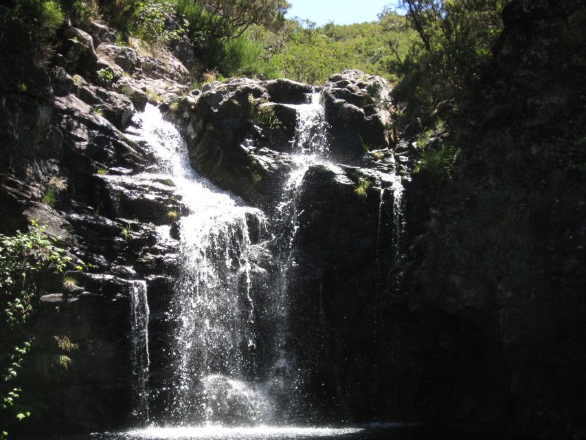 Levada do Alecrim (Madeira Lakes) Full-day walk - Paul da Serra views: why the scenery hits harder after the work