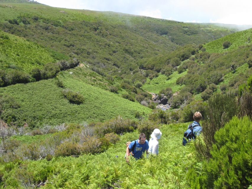 Levada do Alecrim (Madeira Lakes) Full-day walk - Rock pools and waterfalls: the highlight that frames the whole day