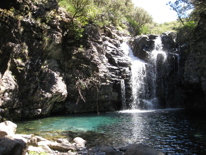 Levada do Alecrim (Madeira Lakes) Full-day walk - Included value: pickup, insurance, guide, and sticks