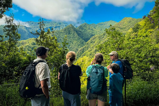 Levada do Rei (PR18) - Through Madeira's Majestic Laurissilva - Key highlights at a glance