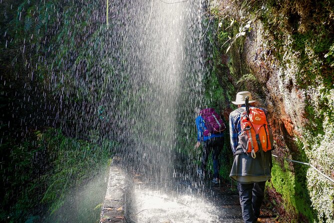Levada do Rei (PR18) - Through Madeira's Majestic Laurissilva - UNESCO Laurissilva on the Levada do Rei, why it feels different