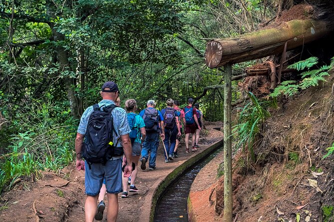 Levada do Rei (PR18) - Through Madeira's Majestic Laurissilva - Fitness and footwear: the trail is moderate, but treat it like real hiking