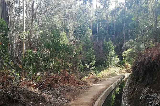 Levada Serra D´Agua - Key Highlights You’ll Actually Feel