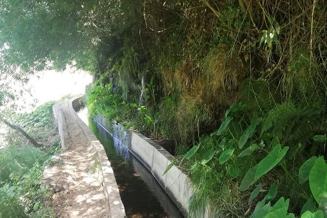 Levada Serra D´Agua - Getting to the Trail: 8:45 Pickup and a Short Van Ride