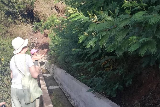 Levada Serra D´Agua - What 5 km Feels Like in About 2 Hours