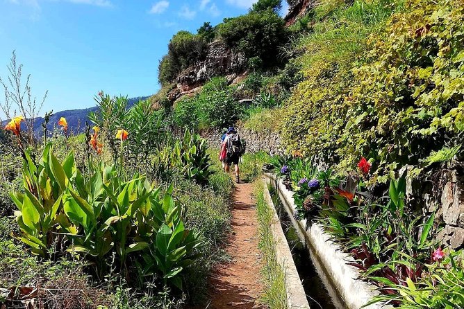 Levada Serra D´Agua - Guides Who Make the Walk Easier (And More Fun)
