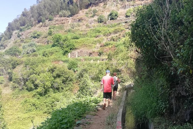 Levada Serra D´Agua - First Views Over the Coast and Fields Before the Trees