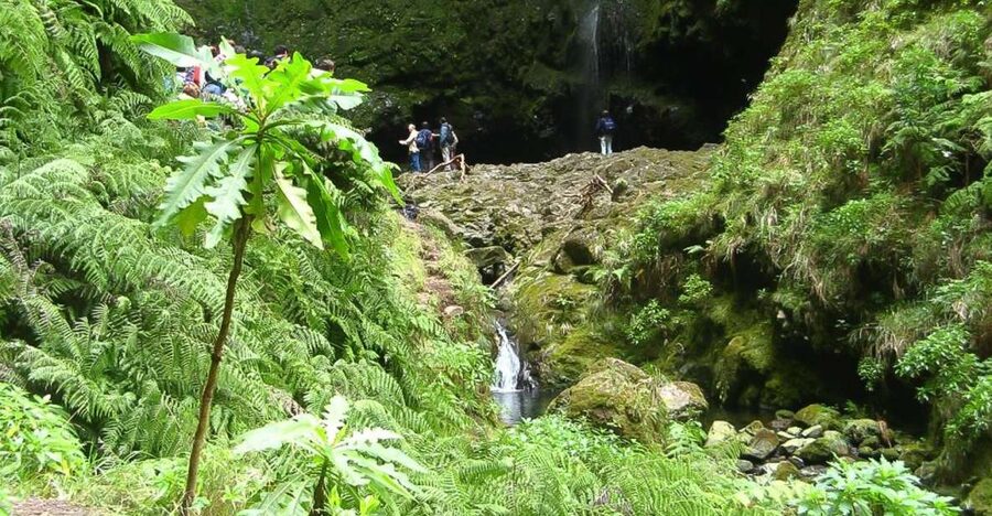 Levada Walk and Caldeirao Verde Waterfalls: Madeira - Quick hits before you go