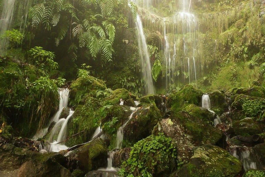 Levada Walk and Caldeirao Verde Waterfalls: Madeira - Why Madeira’s levadas feel like a local shortcut