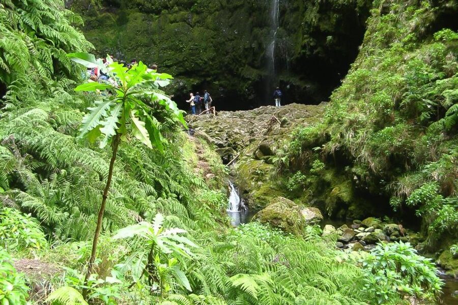 Levada Walk and Caldeirao Verde Waterfalls: Madeira - Queimadas Forest Park start: where the real hike begins