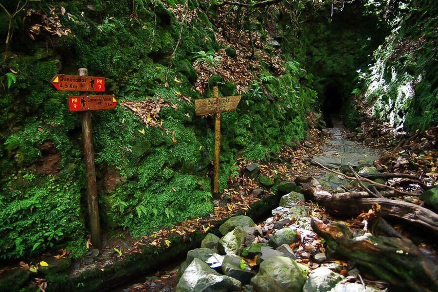 Levada Walk and Caldeirao Verde Waterfalls: Madeira - Price and value: what you really pay for at $46