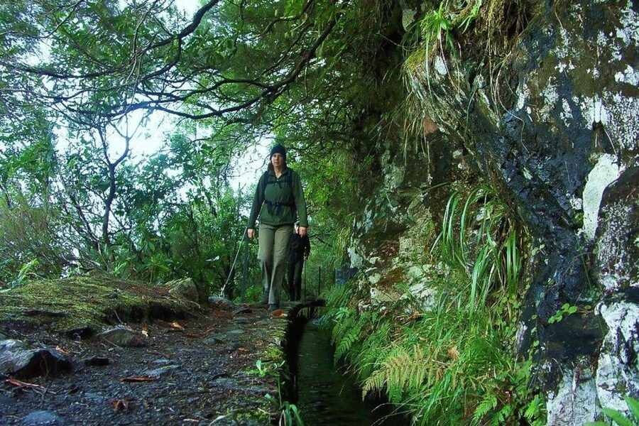Levada Walk and Caldeirao Verde Waterfalls: Madeira - The 7-hour rhythm: what the day actually looks like