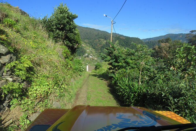 Local Farmers Market and 4WD Experience from Funchal - Why this Madeira 4WD tour feels different from a standard day out