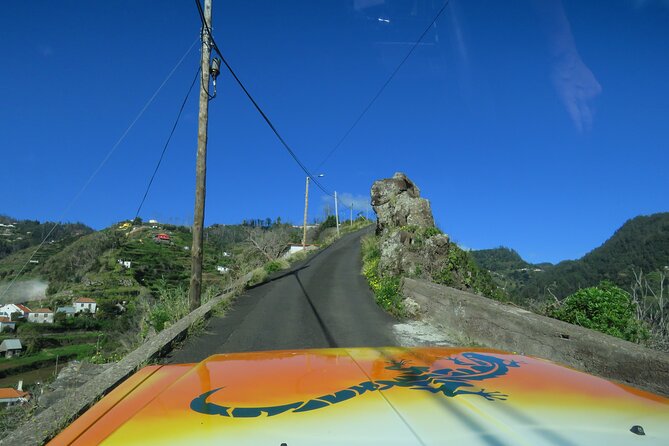Local Farmers Market and 4WD Experience from Funchal - Price and value: what you are paying for at $60.15
