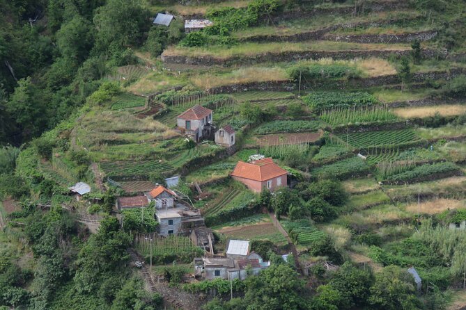 Local Farmers Market and 4WD Experience from Funchal - Who this tour is best for (and who should skip it)