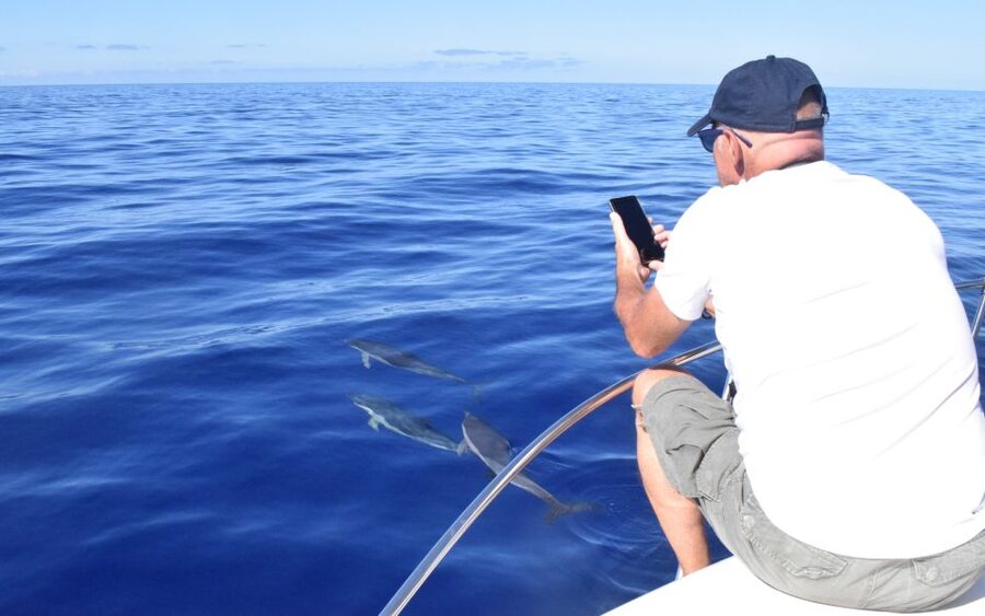 Madeira: 2.5-Hour Whale and Dolphin-Watching Cruise - Cruising the Southwest Coast: Views, Villages, and Photo Stops