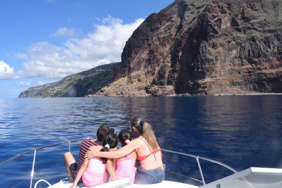 Madeira: 2.5-Hour Whale and Dolphin-Watching Cruise - Safety and Rules: What You Need to Know Before You Go
