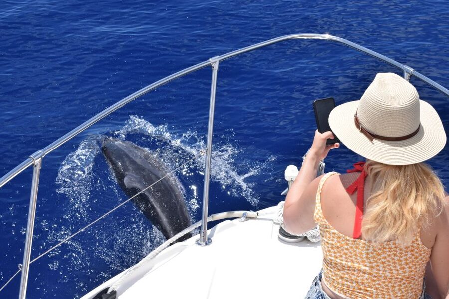 Madeira: 2.5-Hour Whale and Dolphin-Watching Cruise - What to Pack (So the Cruise Feels Effortless)
