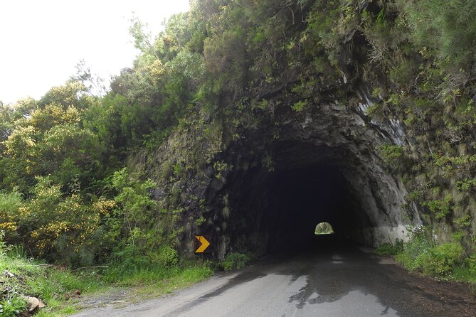 Madeira 4x4 Jeep Safari : Porto Moniz, Lava Pools & Fanal Forest - Paul da Serra Plateau: The View at Around 1,500 Meters