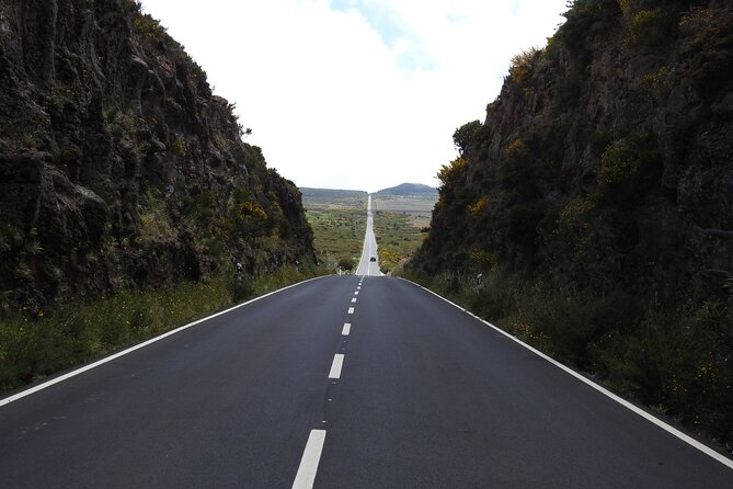 Madeira 4x4 Jeep Safari : Porto Moniz, Lava Pools & Fanal Forest - Fanal Forest in Porto Moniz: Iconic, Calm, and Photogenic