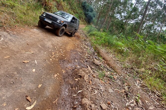 Madeira 4x4 Jeep Safari : Porto Moniz, Lava Pools & Fanal Forest - Ribeira da Janela: A Short Walk to a Cave View