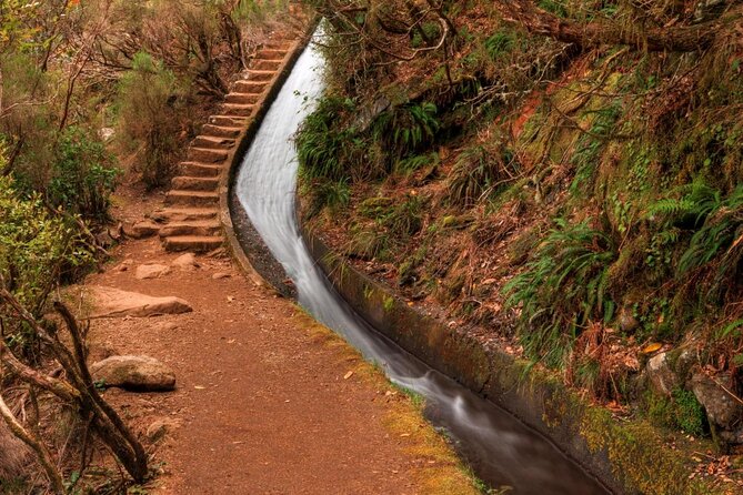 Madeira 4x4 Jeep Safari : Porto Moniz, Lava Pools & Fanal Forest - Câmara de Lobos: Start With the Bay, Then Head Off Road