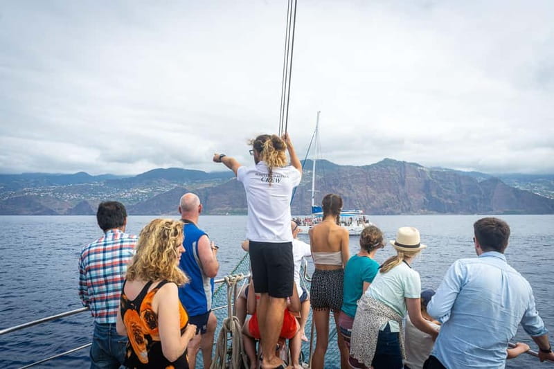 Madeira : 5 hour East Coast boat excursion - The Route: From Garajau Cliffs Toward Cristo Rei and Reis Magos