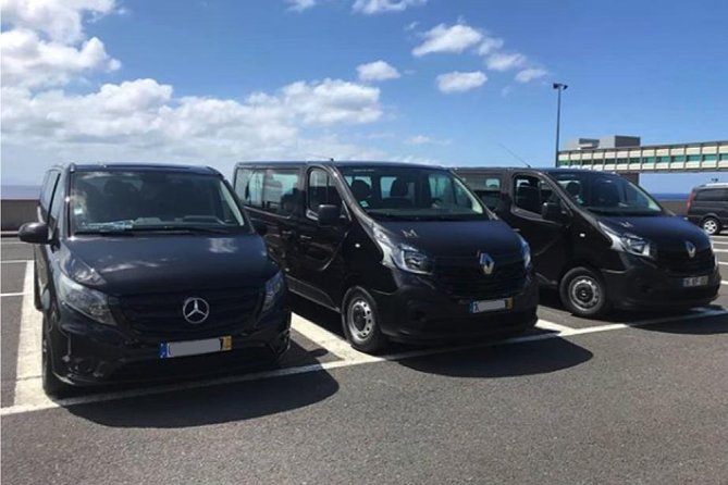 Madeira Airport Round Trip Shuttle Transfers Service - Flight Tracking That Works: Delays Without the Drama
