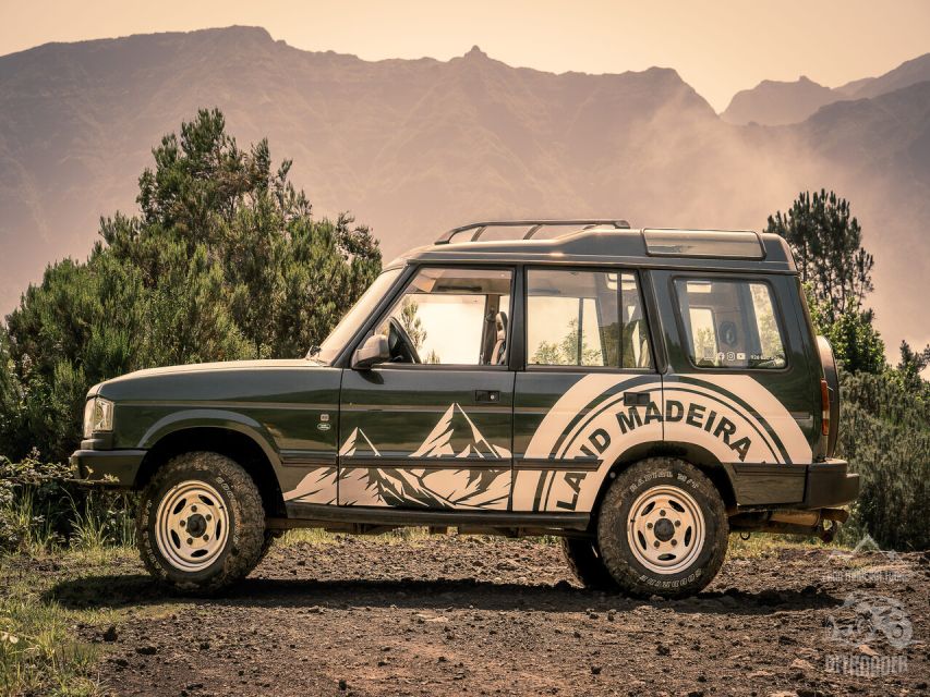 Madeira all day jeep nature tours. - Fanal and the Ancient Forest Feel, Porto Moniz Style
